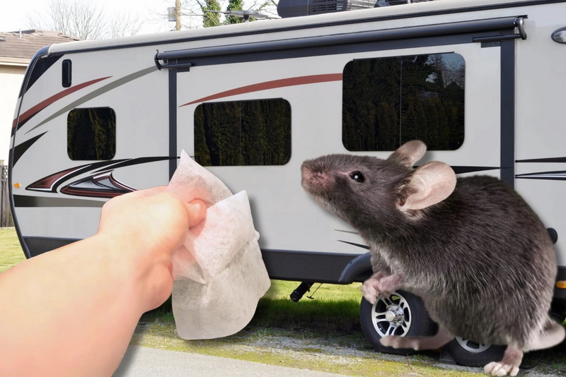 Do Laundry Sheets Repel Mice