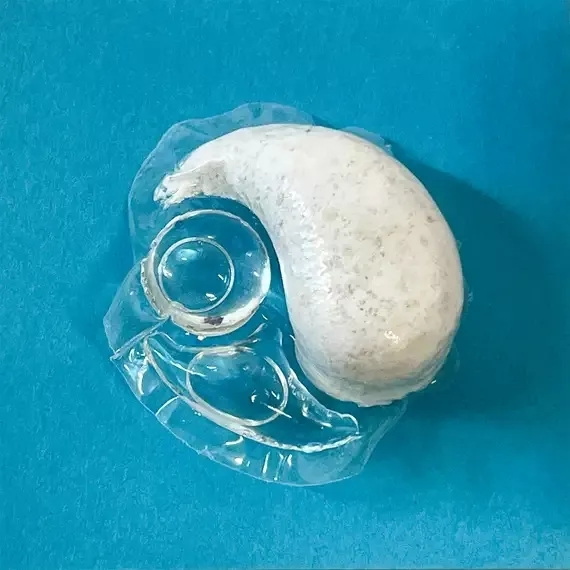 Can You Put Bleach Pods in The Dishwasher