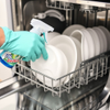 Dishwasher Cleaner