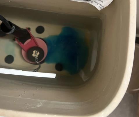 Can Clorox Toilet Bowl Tablet Work in Washing Machine