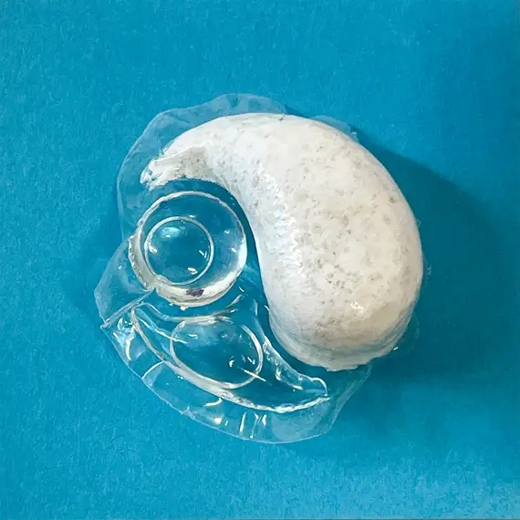 Is There Bleach in Dishwasher Pods