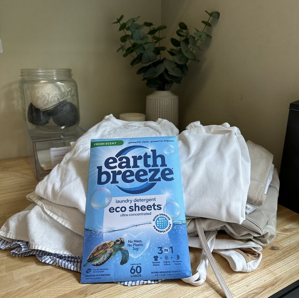 Earth Breeze Laundry Sheets Cost