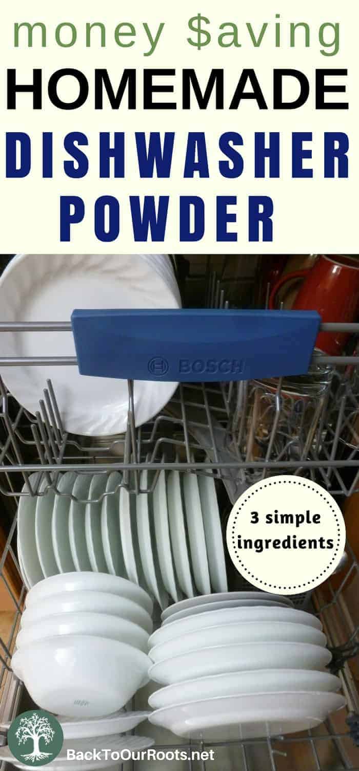 Homemade Dishwasher Powder Pin