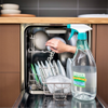 Dishwasher Cleaner