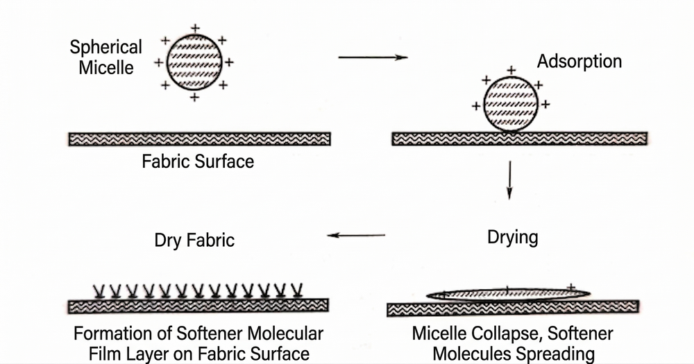 Fabric Softener Adsorption and Film Formation Mechanism.png